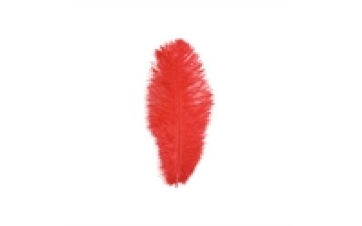 Struisveer rood 35 cm